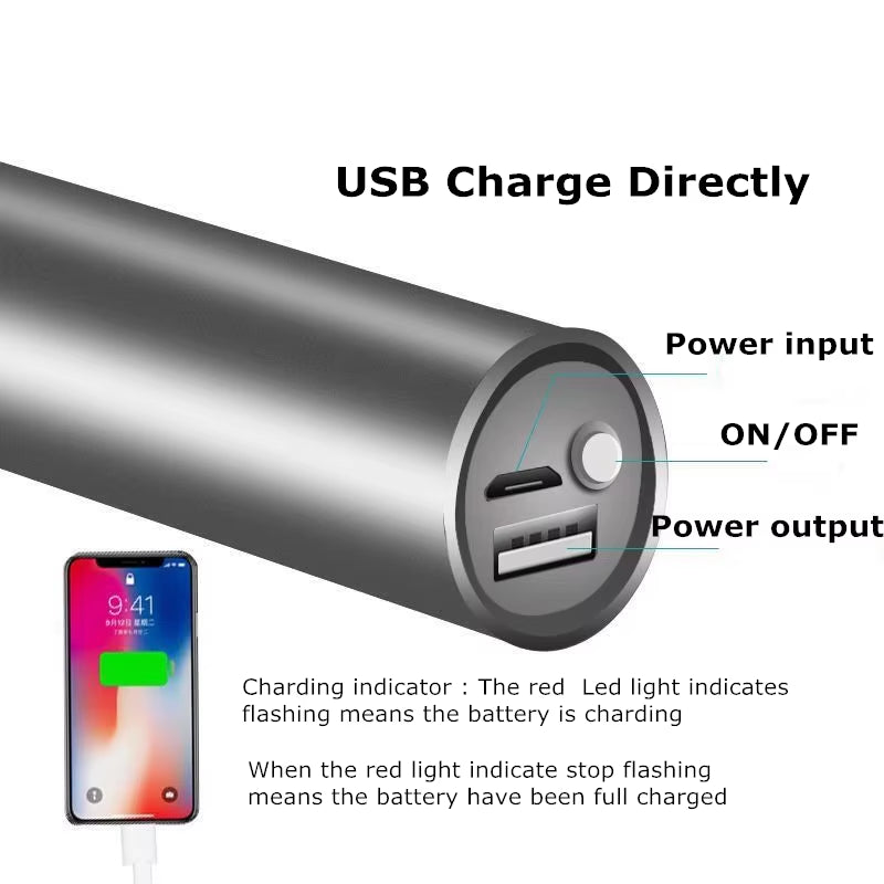 660Nm Red Light Help Wound Healing Speed Pain Relief Small Size Mini Hand Held LED Light Therapy Torch